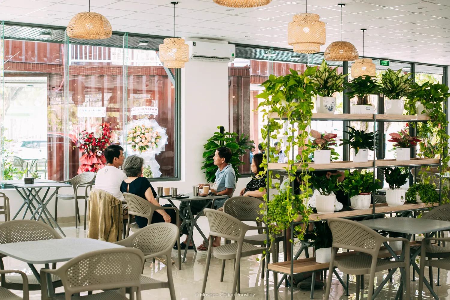 Không gian sáng và nhiều cây xanh bên trong Hai Linh Coffee